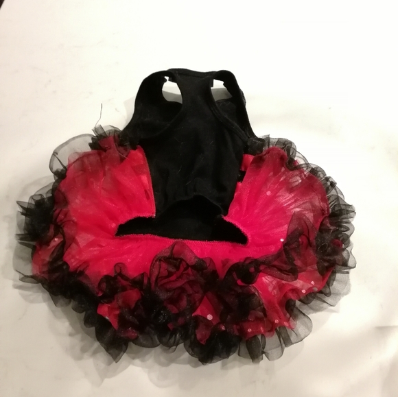 Dog ladybug custom - Picture 3 of 4